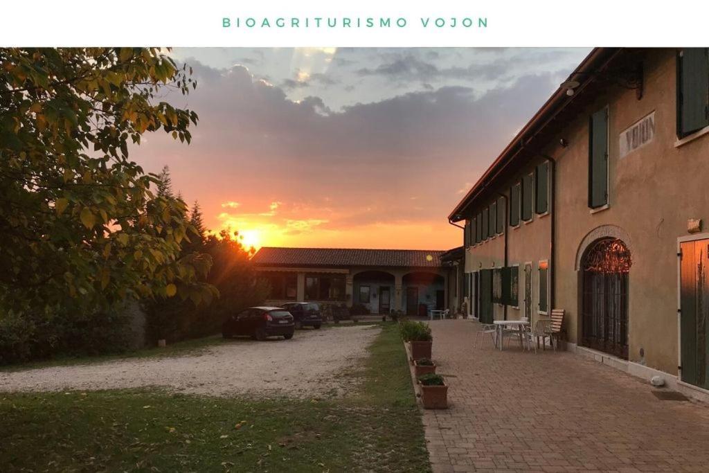 Bio Agriturismo Vojon Villa Ponti sul Mincio Esterno foto