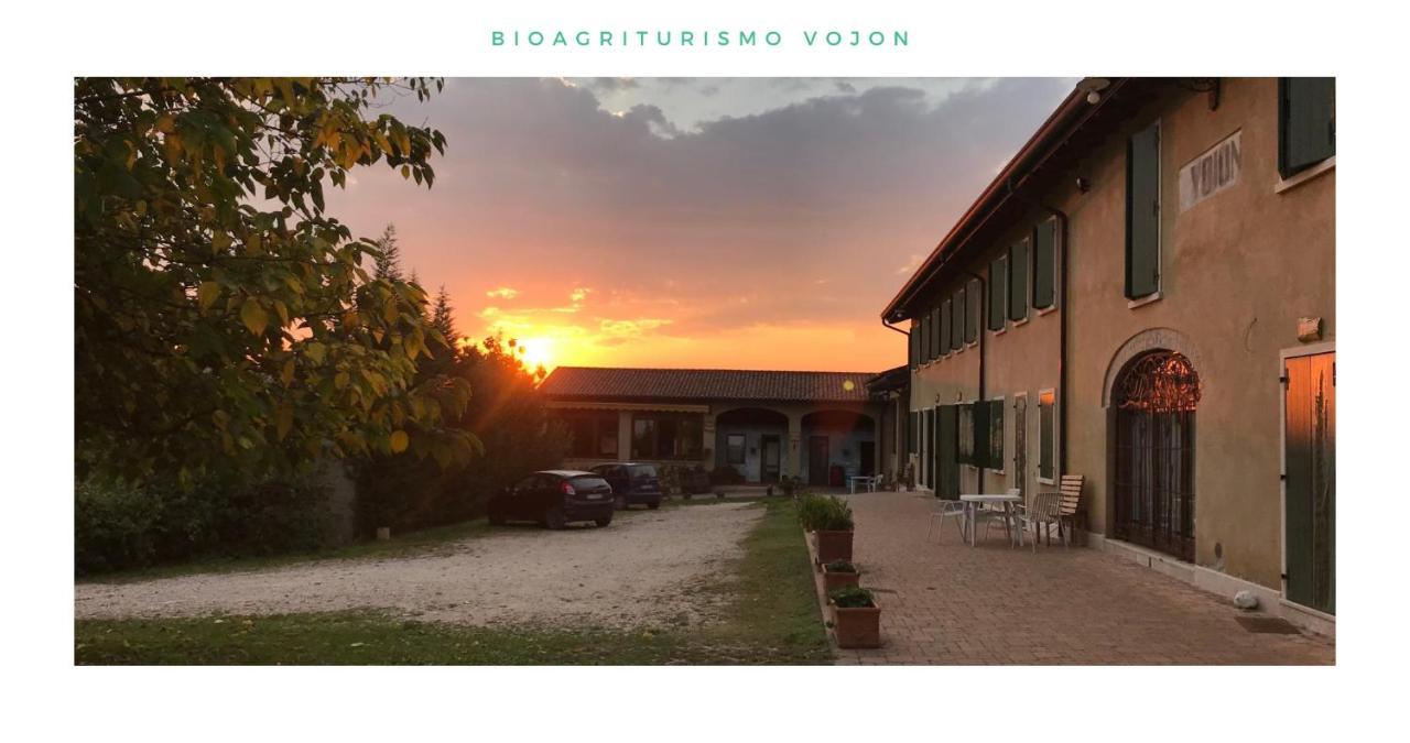 Bio Agriturismo Vojon Villa Ponti sul Mincio Esterno foto