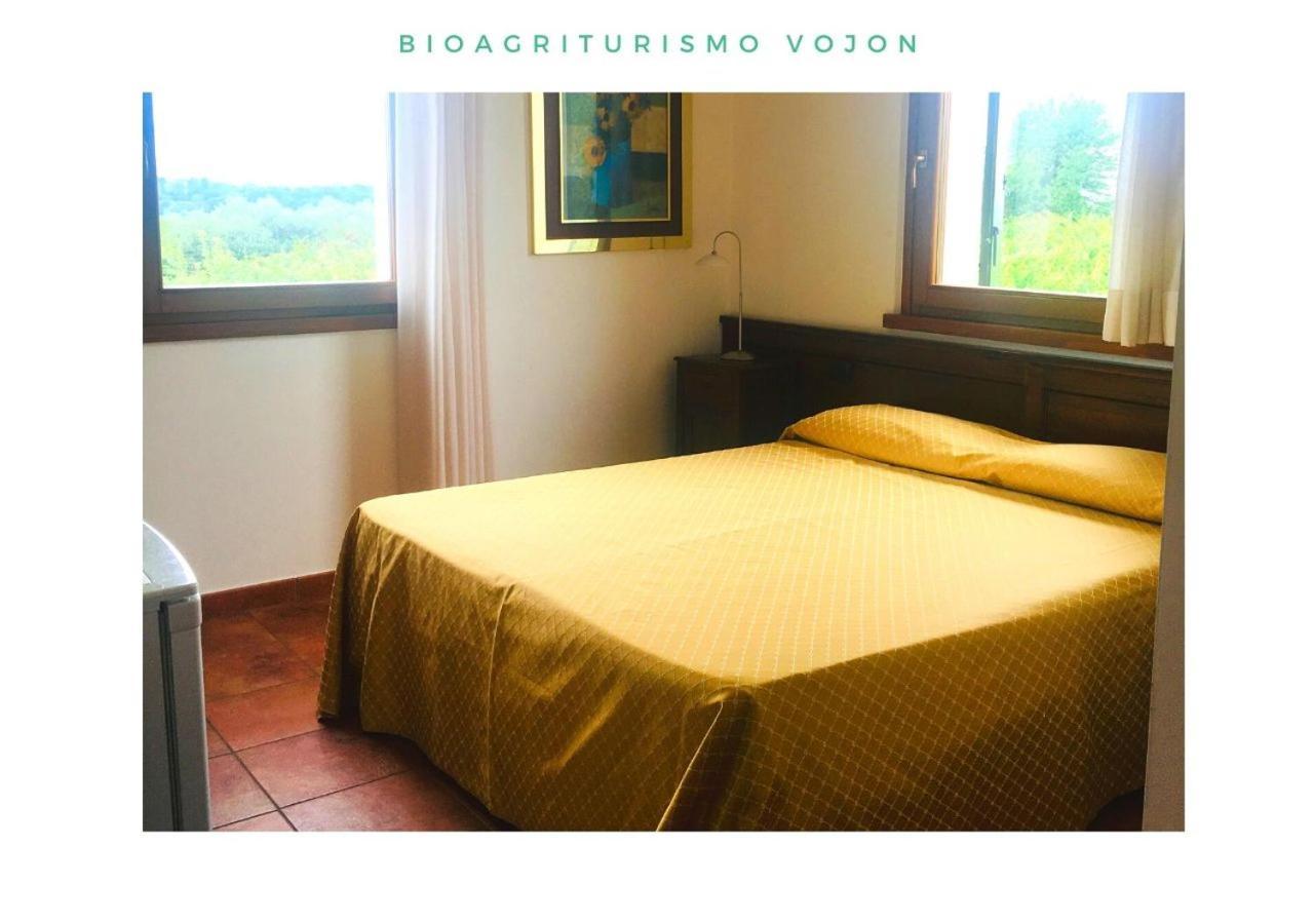 Bio Agriturismo Vojon Villa Ponti sul Mincio Esterno foto