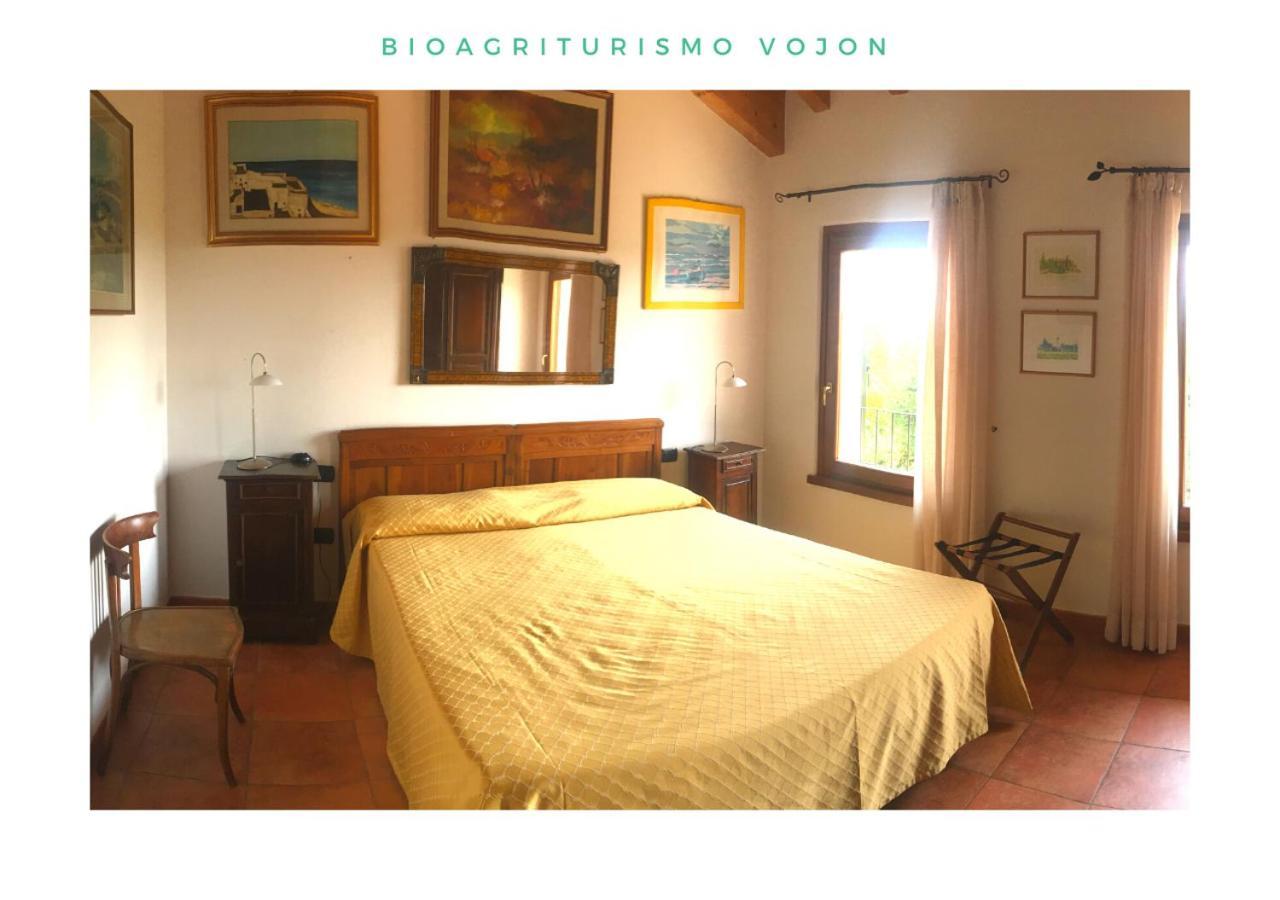 Bio Agriturismo Vojon Villa Ponti sul Mincio Esterno foto