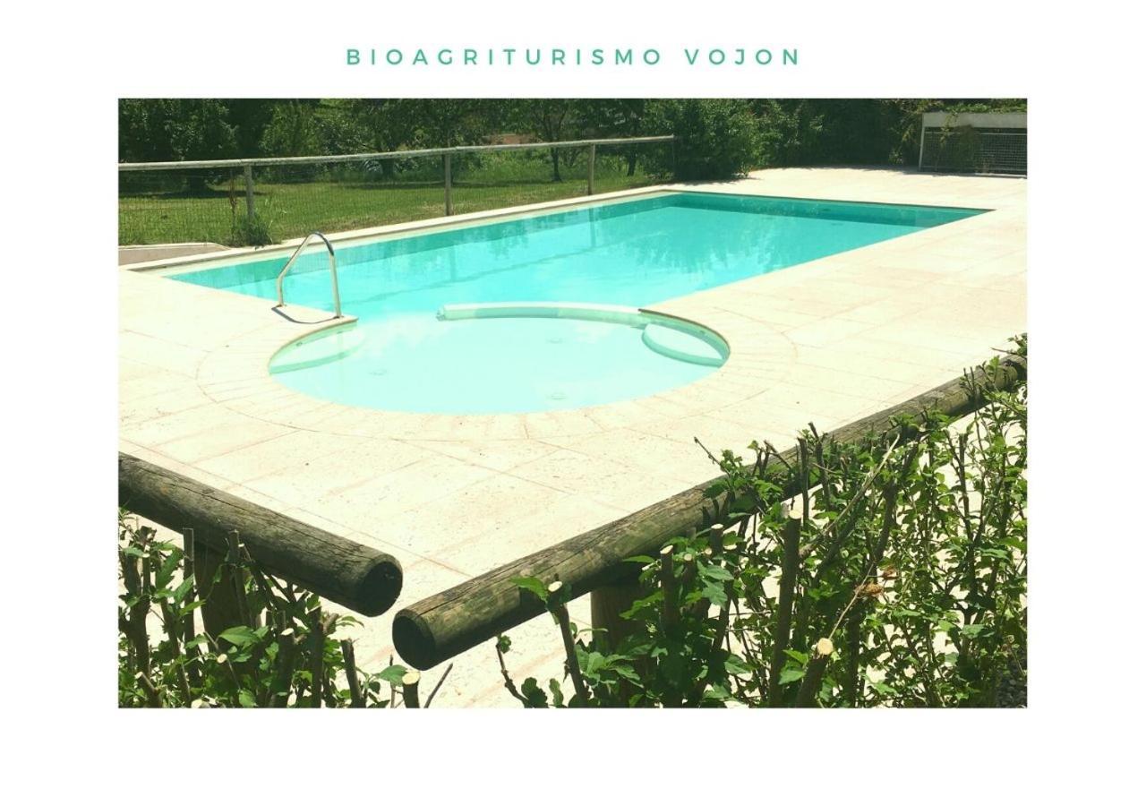 Bio Agriturismo Vojon Villa Ponti sul Mincio Esterno foto